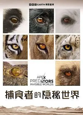 《捕食者的隐秘世界》：看哭了！镜头下的生命悲歌，比纪录片更震撼！